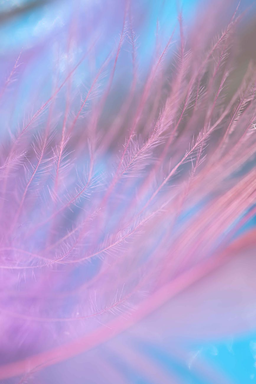 Abstract crystal pattern with a light blue and coral gradient.